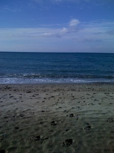 Writing Challenge Horizon in Sight